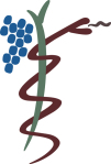 Logo Dr. Galan